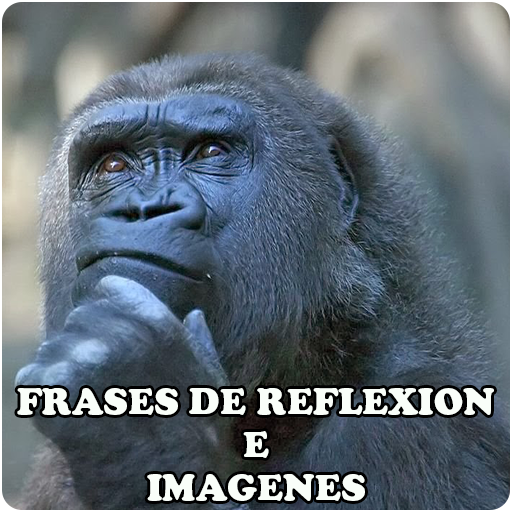 Frases de reflexion e imagenes