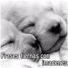 Frases tiernas con imagenes ไอคอน