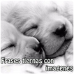 Frases tiernas con imagenes