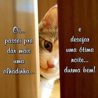 Imagens e Frases de Boa Noite الملصق