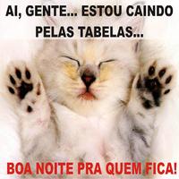 Imagens e Frases de Boa Noite تصوير الشاشة 2
