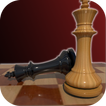 ”Experts Chess