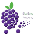 Blue Berry kids Academy APK