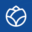 EF Staff icon