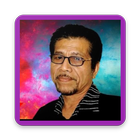 Lagu Dangdut Meggy Z icon