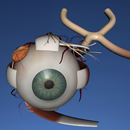 EON 3D Human Eye APK