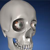 1 Schermata EON 3D Human Eye