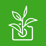 Plantigram-icoon