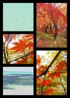 Fotorahmen Collage Screenshot 1