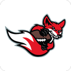 Minnesota Vixen ikona
