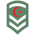 Grades Militaires Algerie الرت Zeichen