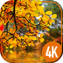 Autumn Cool Wallpapers APK