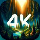 Your Forest wallpapers 4K APK