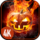 Your Wallpapers with Halloween APK