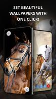 Horses Cool Wallpapers پوسٹر