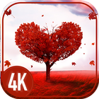 Love wallpapers daily آئیکن