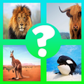 Animal Quiz Game