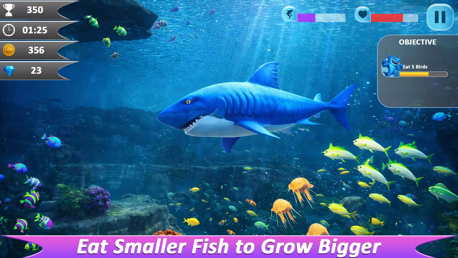 鲨鱼进化吃生存