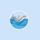 Dolphin Fish & Chips Goodwick APK
