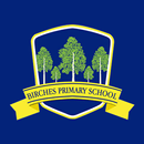 Birches PS APK