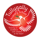 Tullygally PS APK
