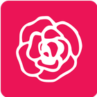 CAMELIA icône