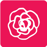 CAMELIA 圖標