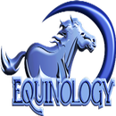 Equine Anatomy Learning Aid (E APK