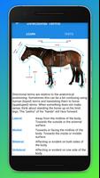 برنامه‌نما Equine Anatomy Learning Aid (E عکس از صفحه
