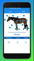 برنامه‌نما Equine Anatomy Learning Aid (E عکس از صفحه