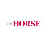 آیکون‌ The Horse
