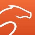 Equisense - Horse riding improvement