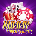 Rummy Expert World icon
