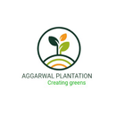 creatinggreens APK