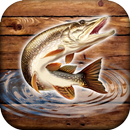 Fish rain: pêche sportive APK