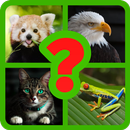 The animal quiz - Can you guess all the animals APK