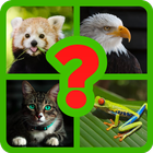 The animal quiz - Can you guess all the animals иконка