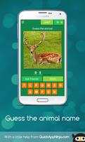The animal quiz - Can you guess all the animals постер
