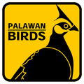 Palawan Birds