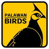 Palawan Birds icône