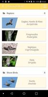 Palawan Birds-poster