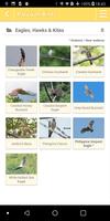Palawan Birds স্ক্রিনশট 1