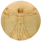 Sapiens أيقونة