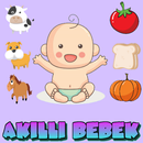 Akıllı Bebek -Bebekler Öğreniyor-Reklamsız ! aplikacja