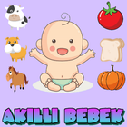 Akıllı Bebek آئیکن