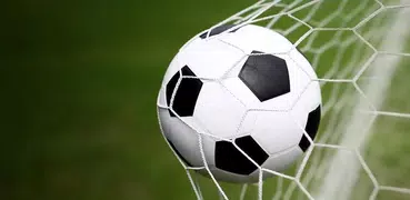 Betting Statistics