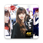 Lisa Blackpink壁紙ファンHD アイコン