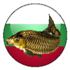 РибиБГ (FishBG) icône