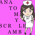 Anatomy Scramble Word Find