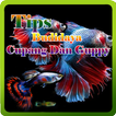 Budidaya Cupang Dan Guppy